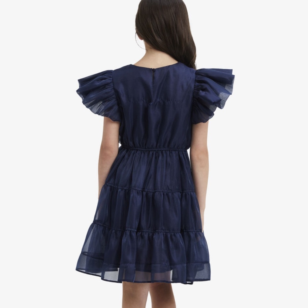 Bardot Junior Girls Oshin Organza Dress In Navy - Picture 3 of 13
